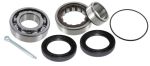Rear wheel bearing kit for IRS one side Beetle Karmann Ghia Type 3 Thing